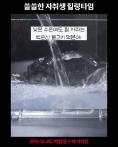 세남자바스켓 릴스 사례